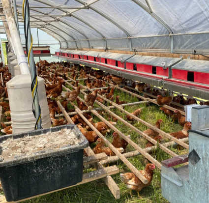 Consumer Device DFM Optimization